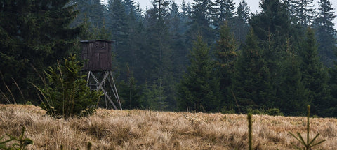 How to Hunt Deer From the Ground Without Getting Picked Off