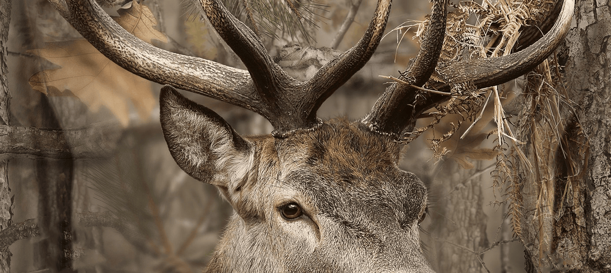 mobile whitetail hunting setup: quiet access bags, insulated hunting boots, breathable mid/base layers, quiet pants, accessories for deer hunts