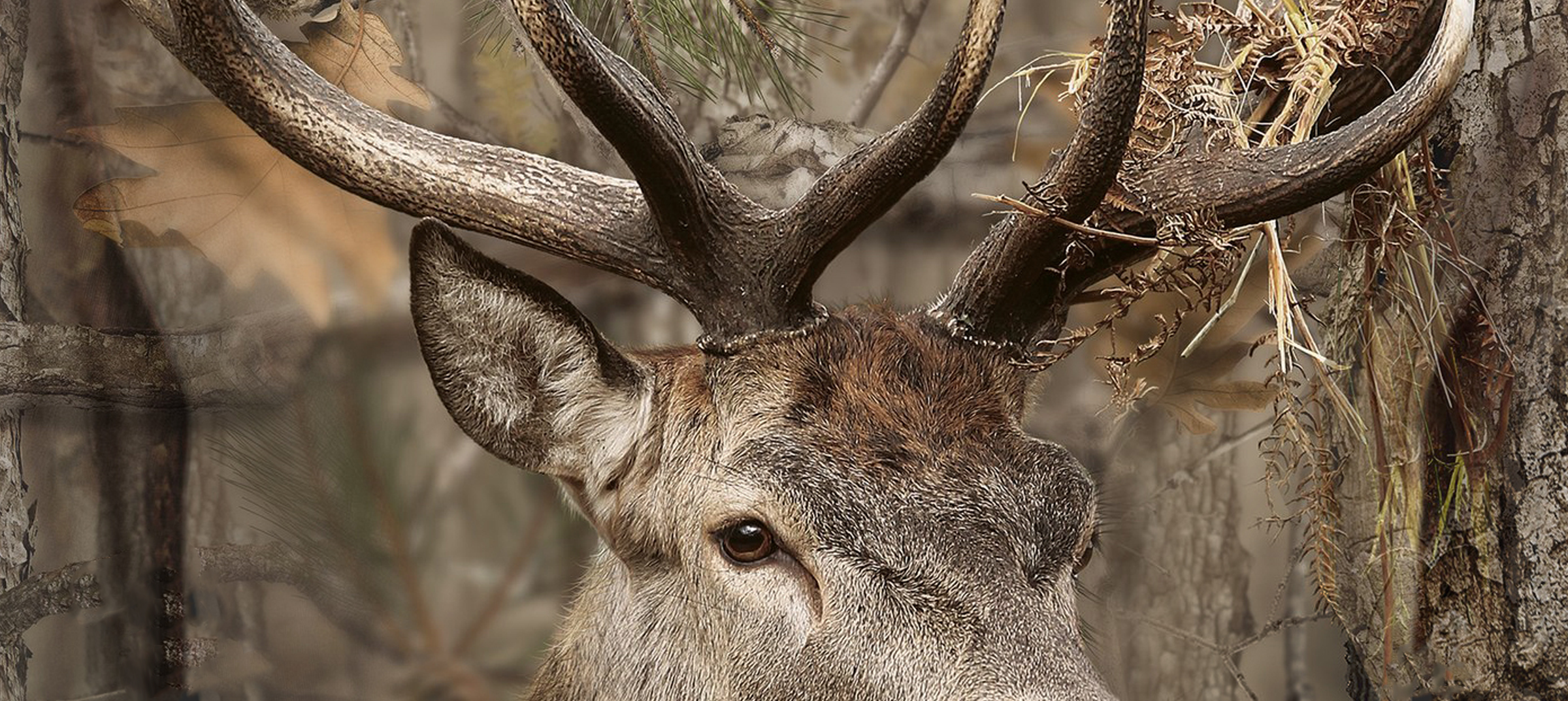 mobile whitetail hunting setup: quiet access bags, insulated hunting boots, breathable mid/base layers, quiet pants, accessories for deer hunts