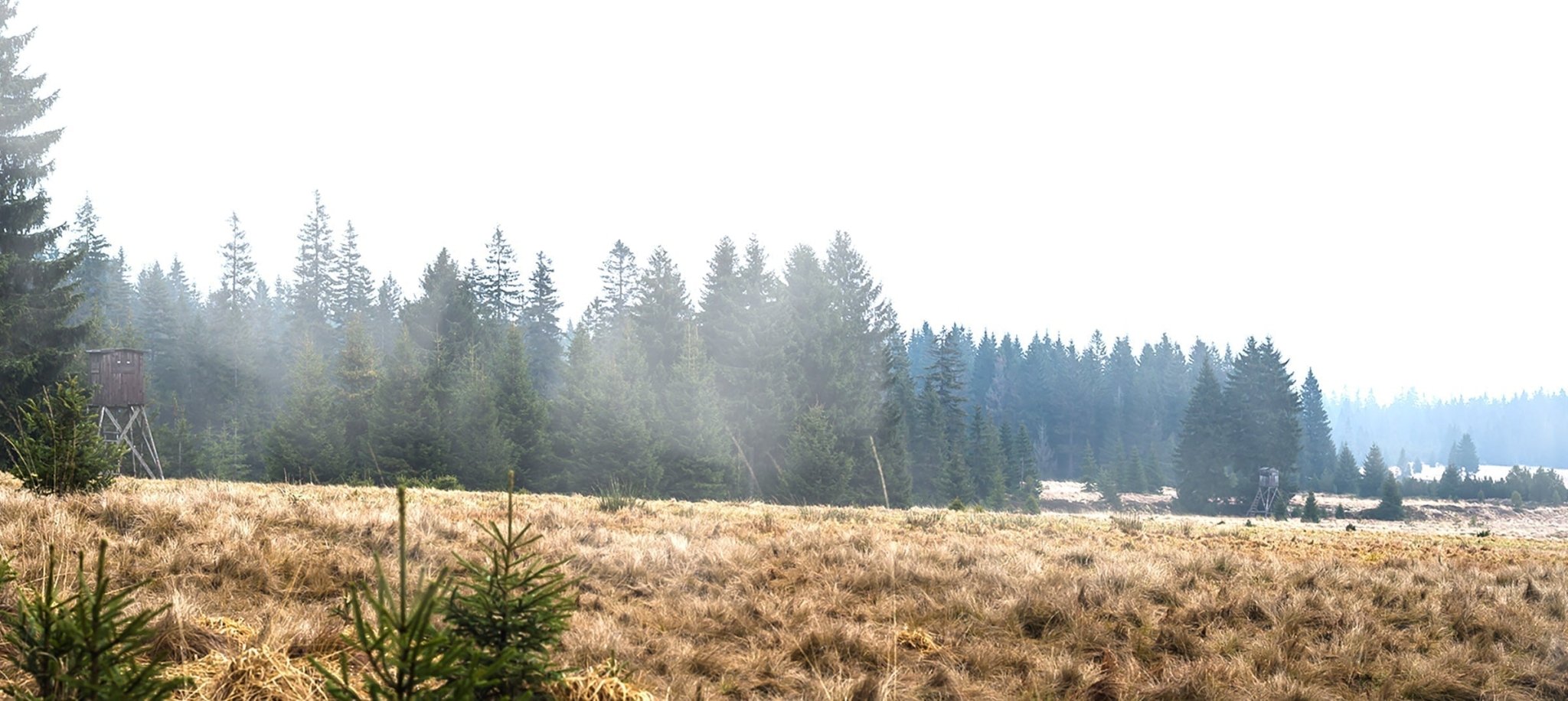 turkey scouting for mobile hunters: camo hunting gear layering, insulated boots, breathable layers