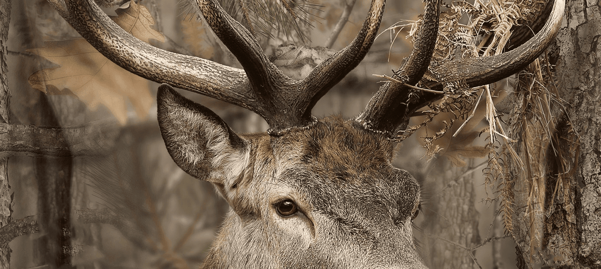 whitetail deer hunting gear checklist: merino mid, base layers, game bags, insulated boots, jackets