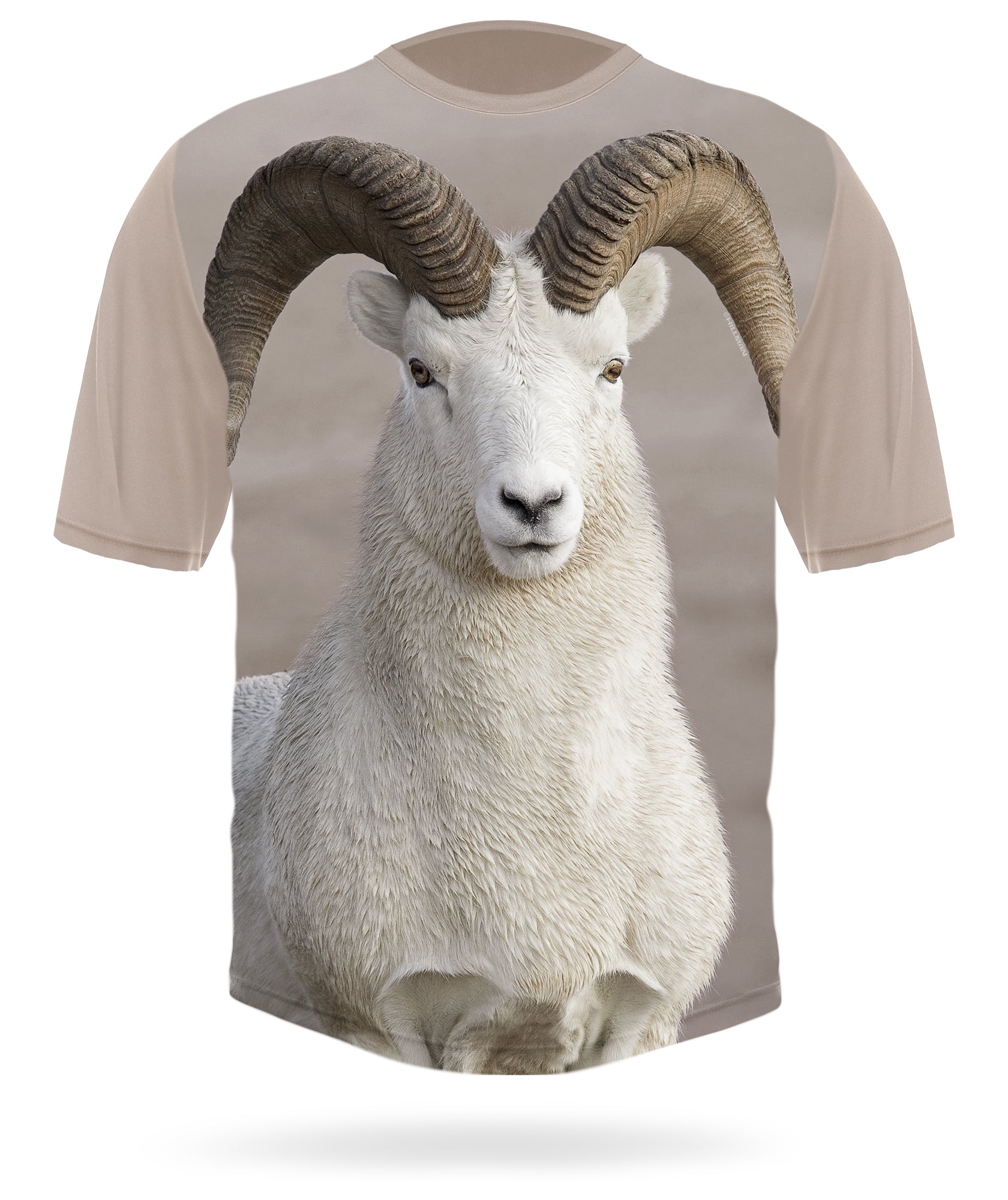 Short sleeve Dall sheep