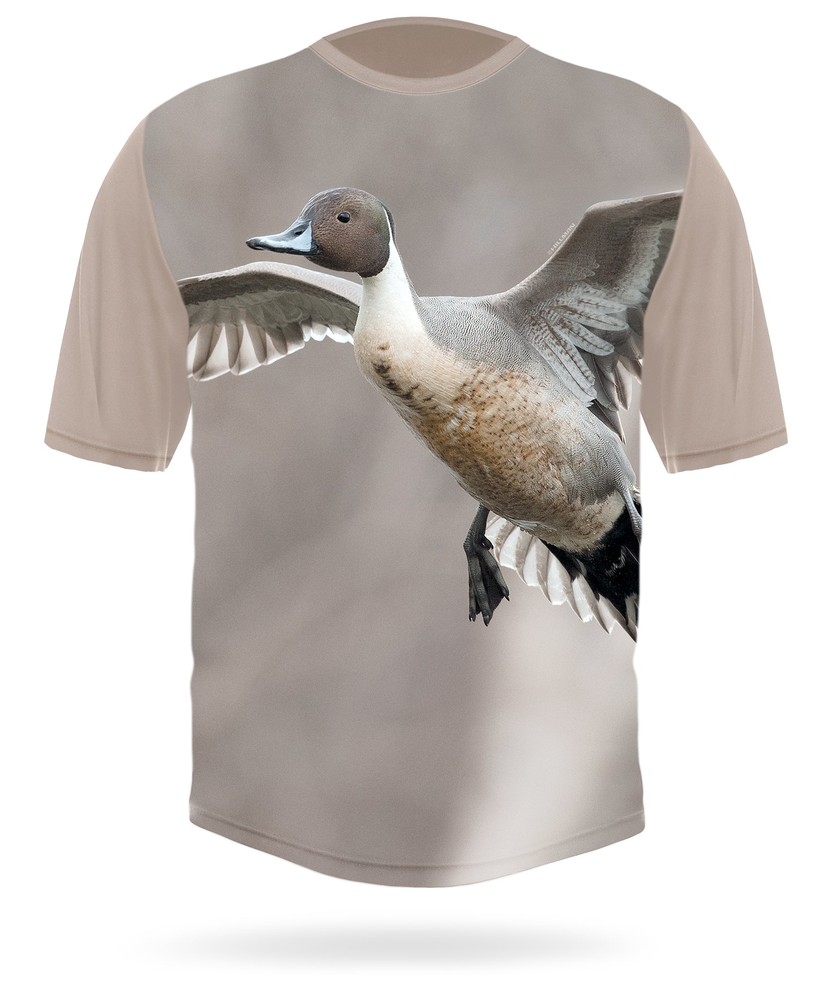 Short sleeve NORTHERN PINTAIL